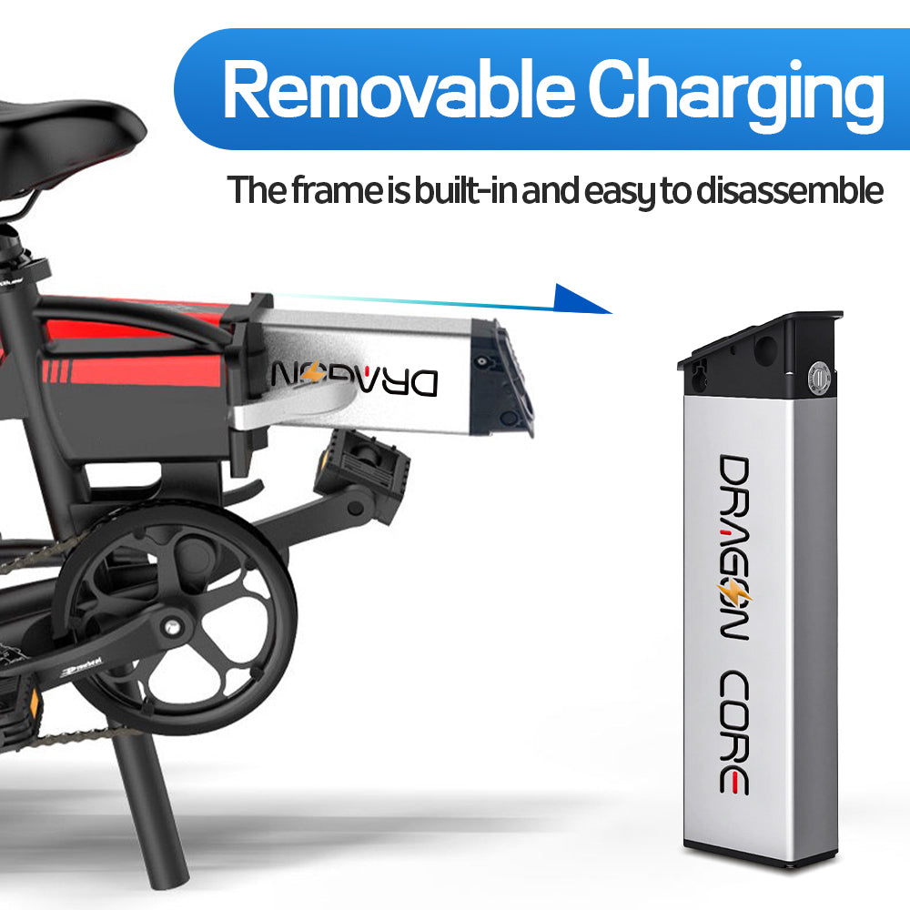 | Dragon core | 48v Ebike Battery Folding e-bike Battereies 48v 13Ah